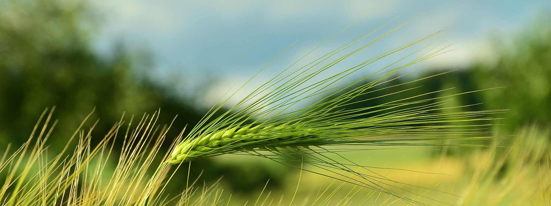 江西榮華紡織機(jī)械有限公司
