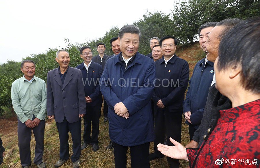 光山油茶籽榨油設備，山茶籽油榨油機廠家(圖2)