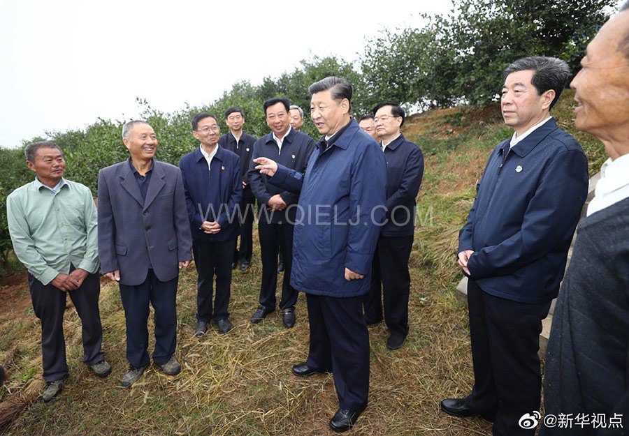 光山油茶籽榨油設備，山茶籽油榨油機廠家(圖3)